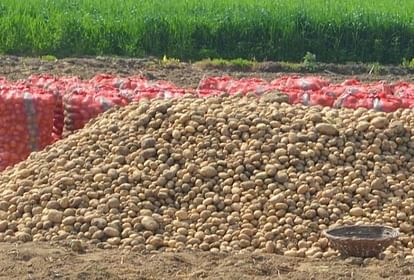 Relief to potato farmers Government will buy potatoes in seven districts in first phase