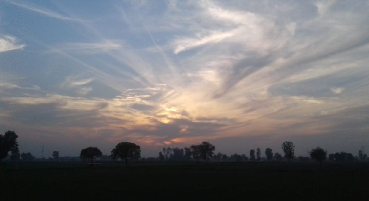 Now four days Orange alert, possibility of cold wave, frost and mist