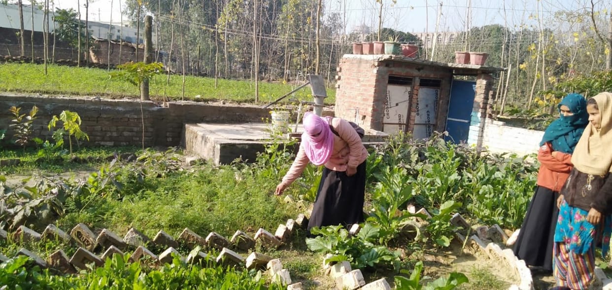 Junaiba's ideal nutrition garden, built for Anganwadis