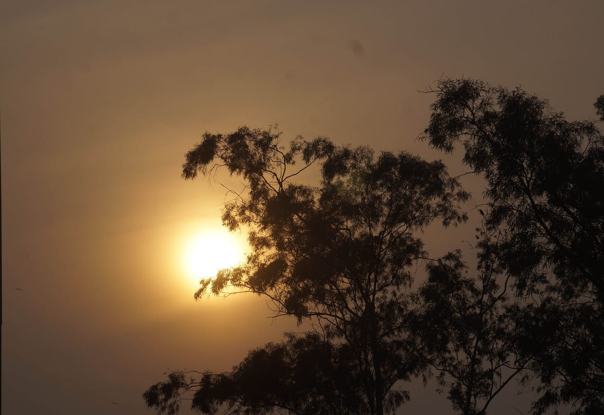 Hisar cold in Haryana, tempreature  2.2