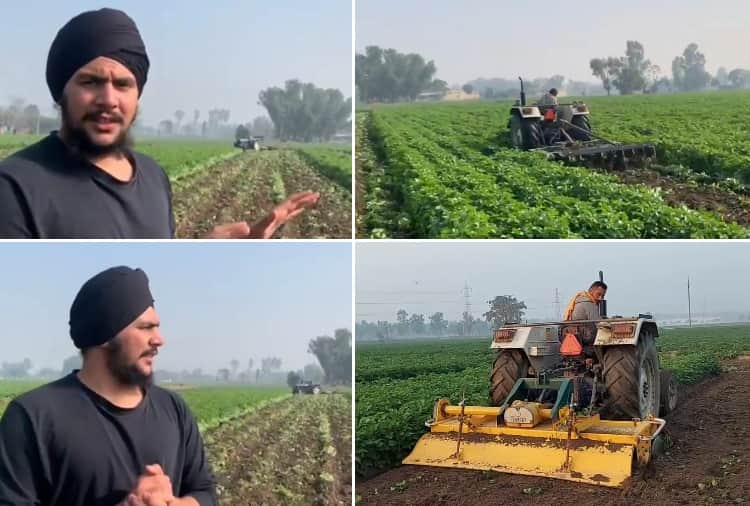 Farmer Runs Tractor On Potato Crop Due To Lack Of Fair Price In Kapurthala