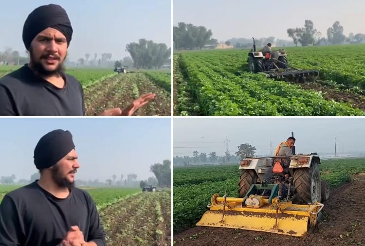 Farmer Runs Tractor On Potato Crop Due To Lack Of Fair Price In Kapurthala