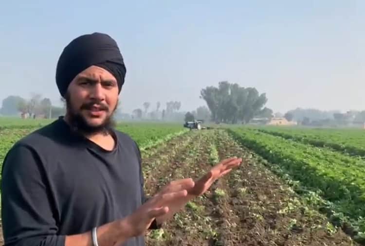 Farmer Runs Tractor On Potato Crop Due To Lack Of Fair Price In Kapurthala