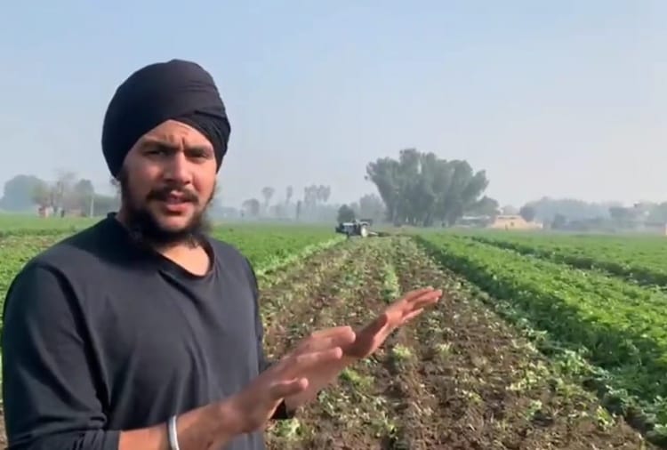 Farmer Runs Tractor On Potato Crop Due To Lack Of Fair Price In Kapurthala