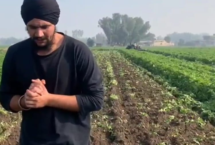 Farmer Runs Tractor On Potato Crop Due To Lack Of Fair Price In Kapurthala