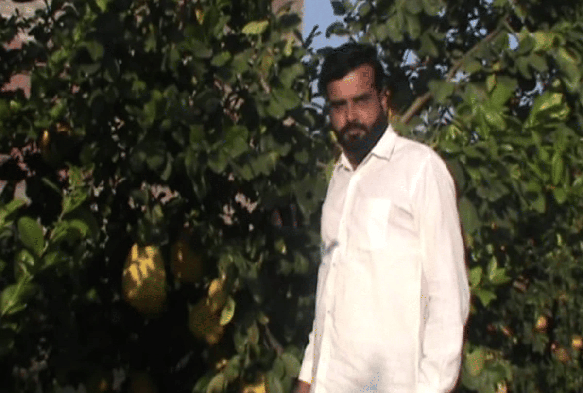 Haryana farmer grows unique lemon size like watermelon