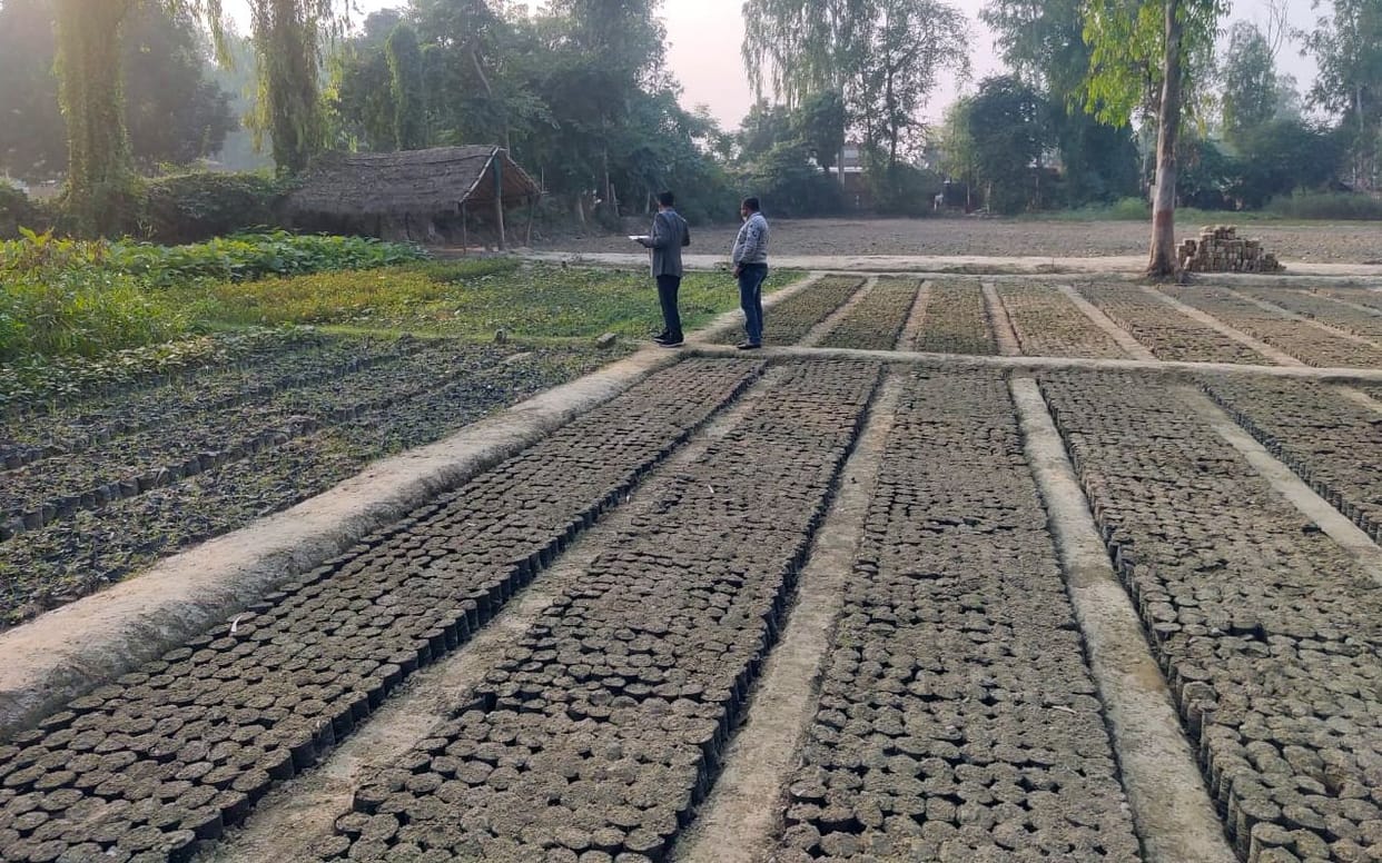 65 lakh plantations will be shaken by greenery