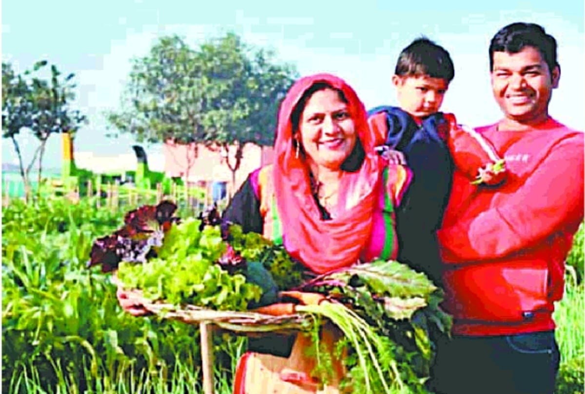Farmers said - contract farming is not a deal of loss if conditions are strong