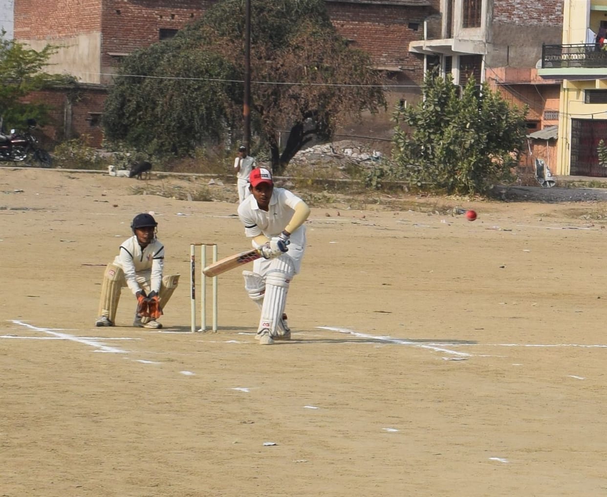 cricket