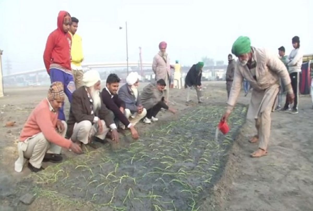 Some farmers start sowing onions at burari ground delhi