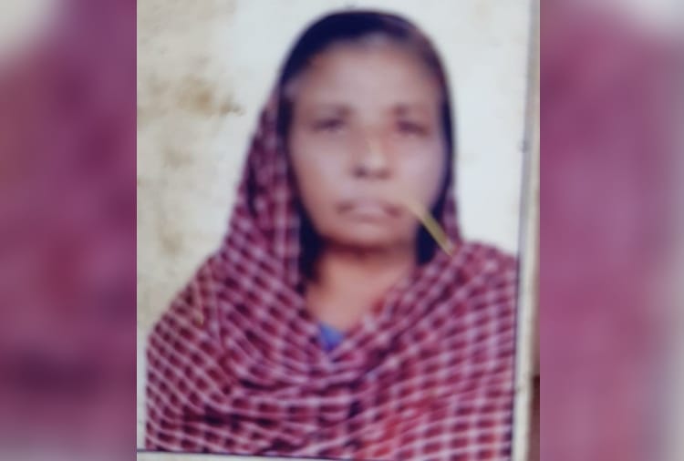 A woman died in accident in fatehabad of Haryana