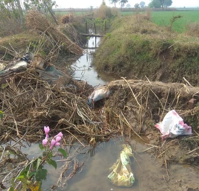 Farmers upset due to lack of access to tail