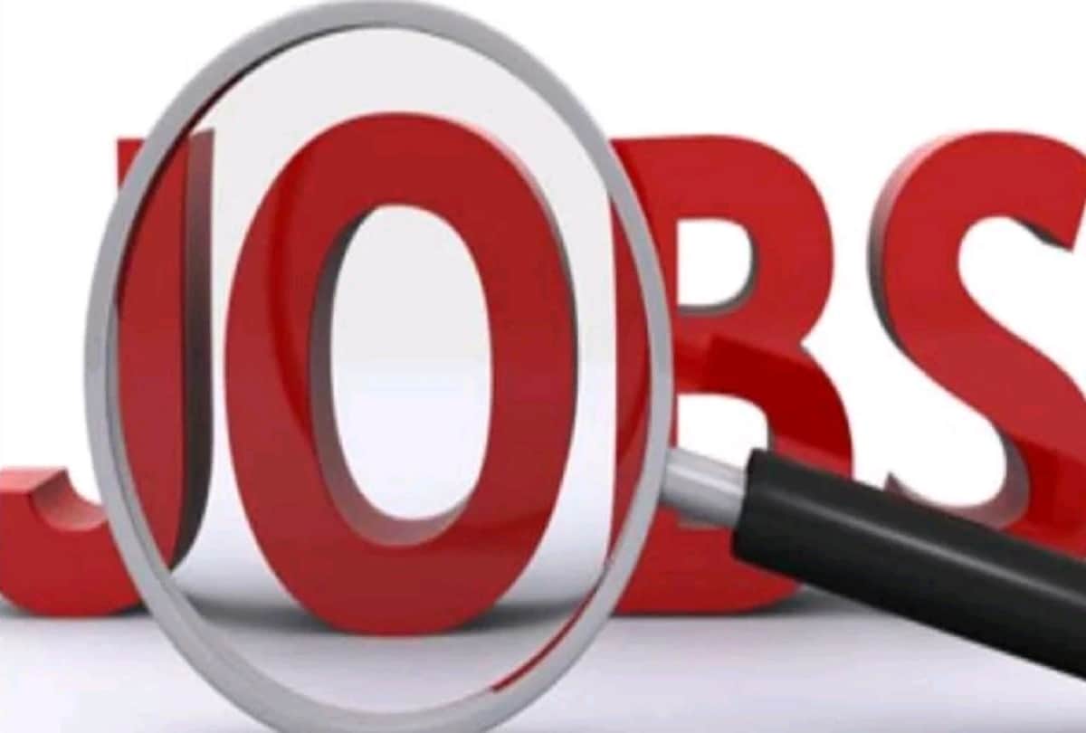 Sarkari Naukri 2021: Top 4 jobs of feb month that will give you more than 50000 salary