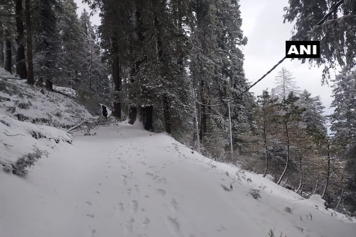 Weather Update: New year cold in Delhi, snowfall in mountainous states cold winds in plains know weather conditions
