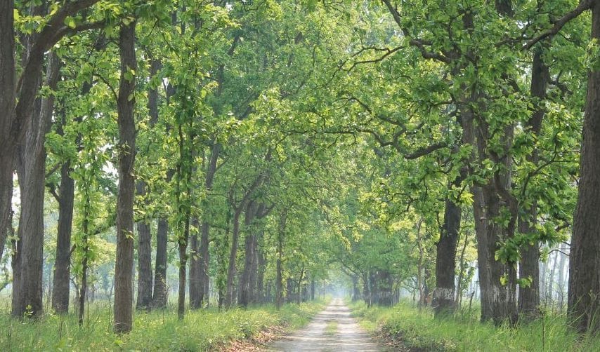 Tiger reserve tourism