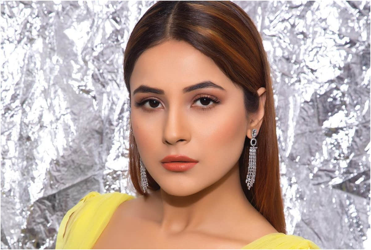 Bigg Boss 13 Fame Shehnaaz Gill Shares Video With Uchana Amit and Badshah, Says Footage Main Hi Lugi