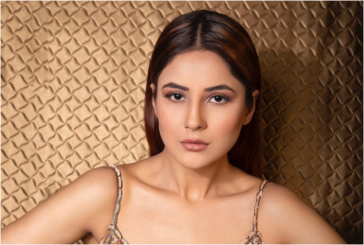 shehnaaz gill steal the show in latest pics wearing floral dress worth 97k