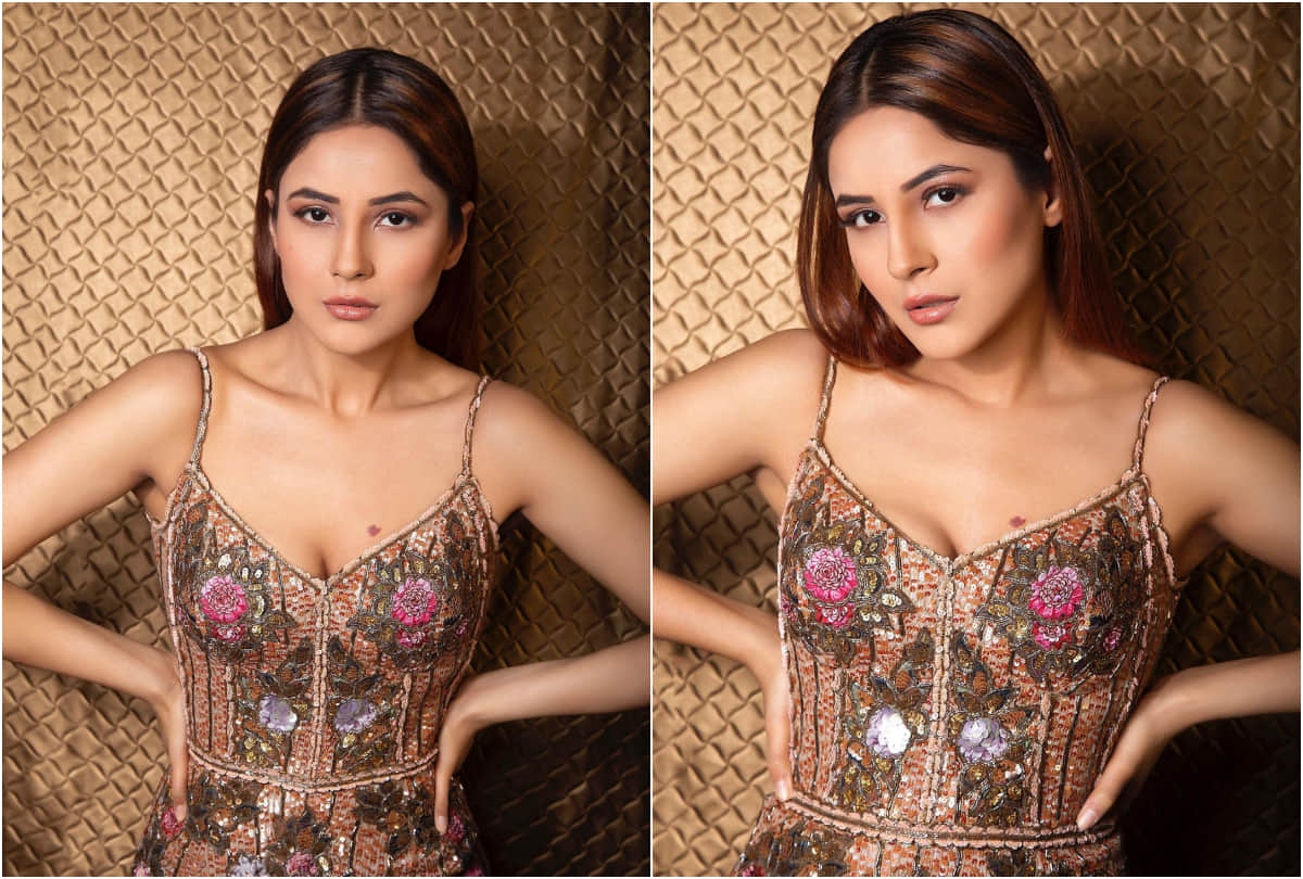 Shehnaaz Gill's super luxurious car collection will leave you wide eyed