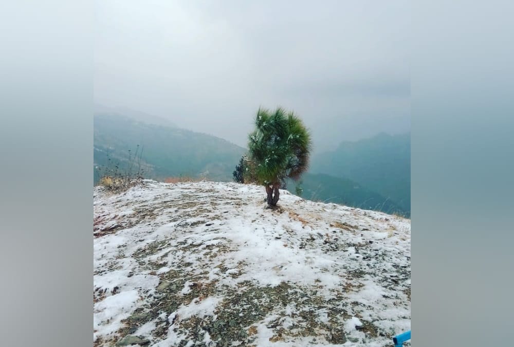 Uttarakhand Snowfall News: Season First Snowfall in Mussoorie Before New Year Beautiful Visuals