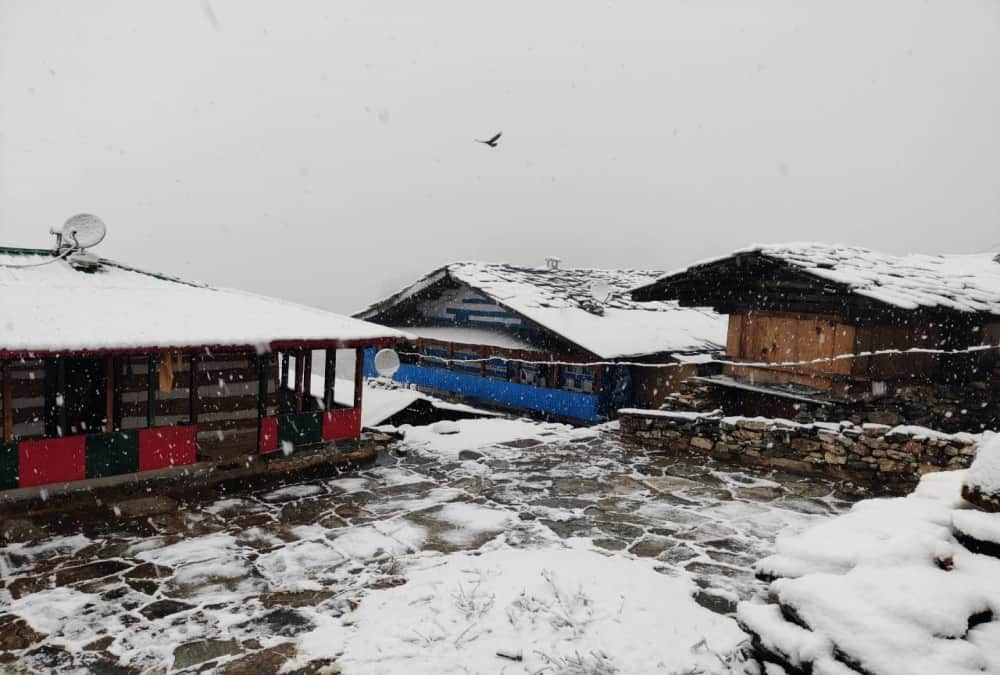 holi 2021: Holika Dahan today, public play with gulal tomorrow