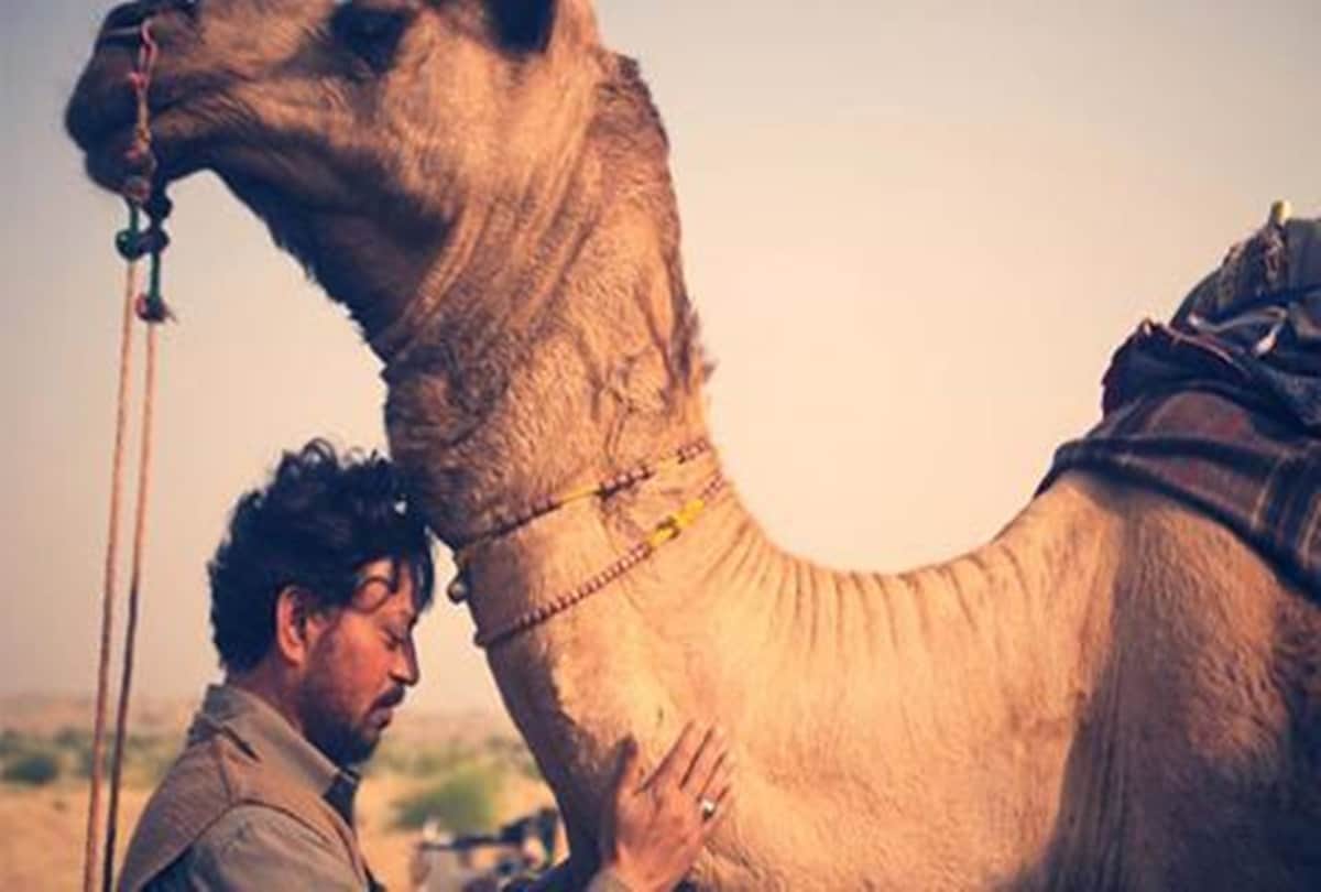 Late Actor Irrfan Khan Last Film The Song Of Scorpions To Release In 2021