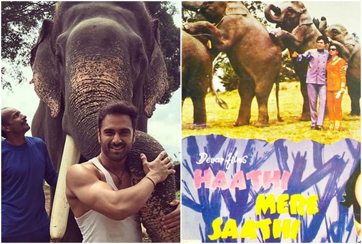 pulkit samrat in haathi mere saathi remake is very exited rana daggubati lead role in the movie rajesh khanna