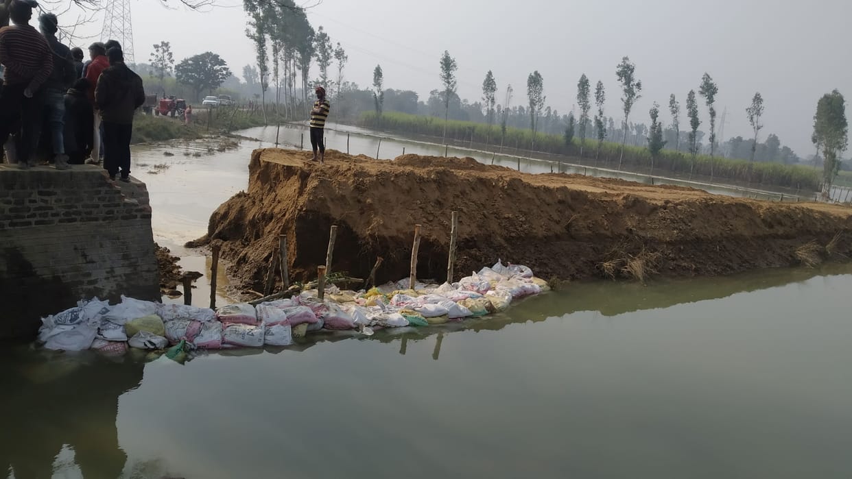 Saryu canal cut, hundreds of acres of paddy crop destroyed