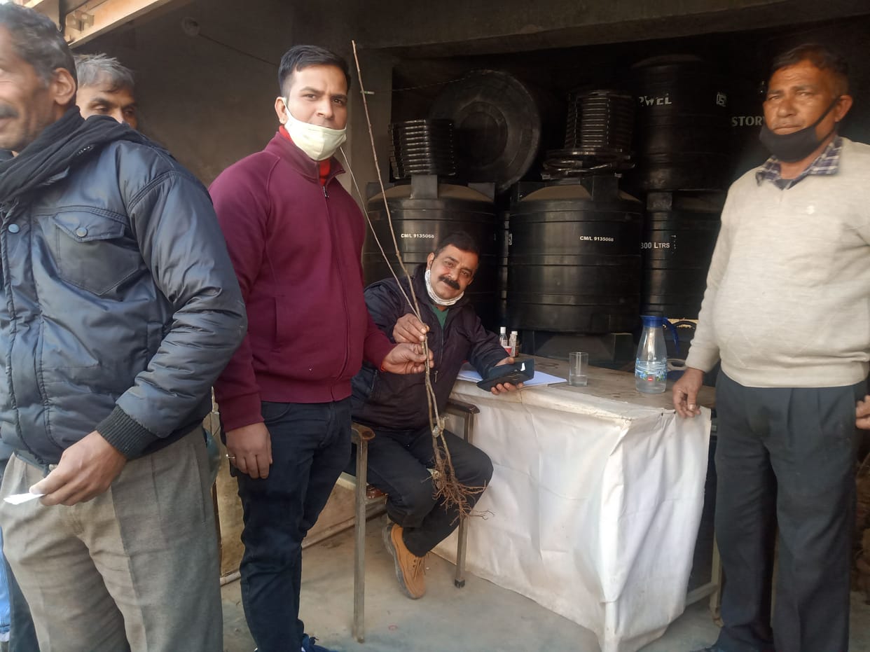 fruit plants distributed
