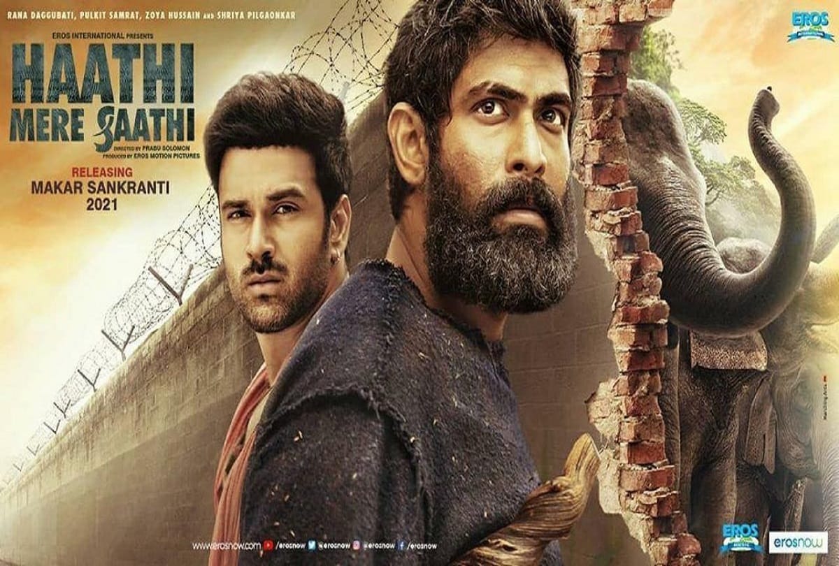 pulkit samrat in haathi mere saathi remake is very exited rana daggubati lead role in the movie rajesh khanna