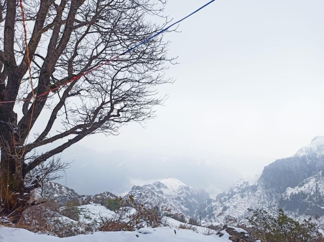 Uttarakhand Weather: season First snowfall nectar for apple trees big relief to gardeners in Chakrata-Tuni