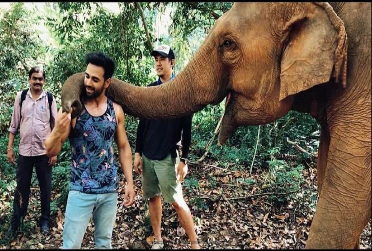 pulkit samrat in haathi mere saathi remake is very exited rana daggubati lead role in the movie rajesh khanna