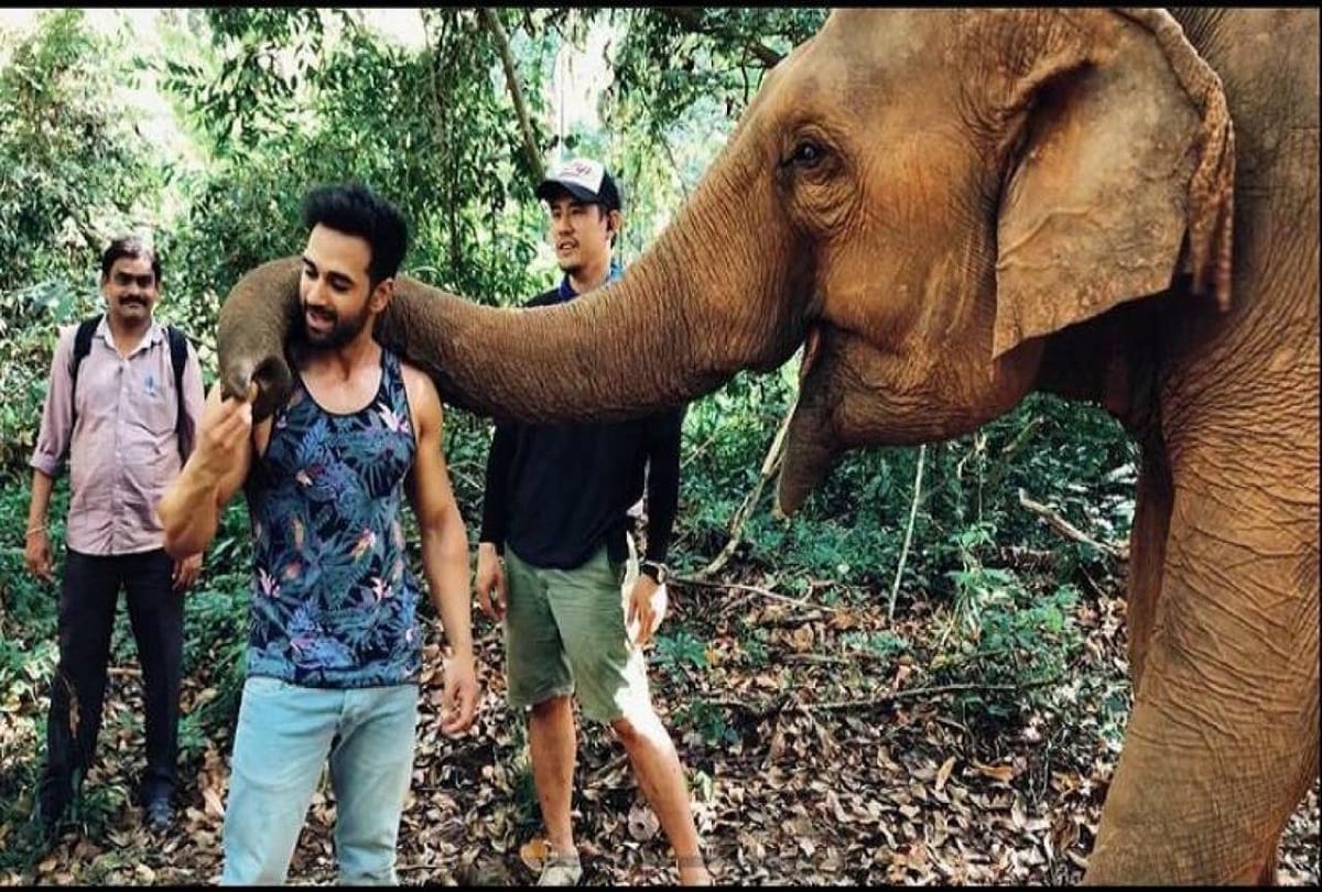 pulkit samrat in haathi mere saathi remake is very exited rana daggubati lead role in the movie rajesh khanna