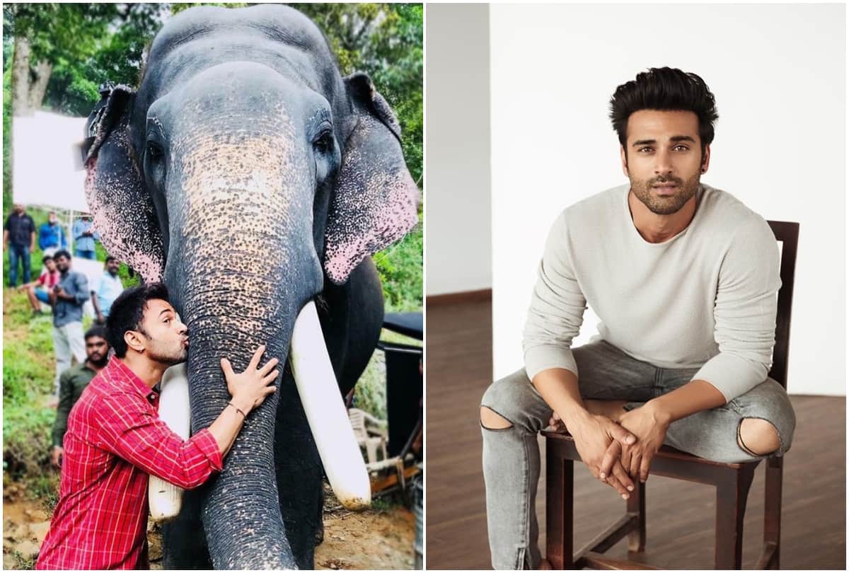 pulkit samrat in haathi mere saathi remake is very exited rana daggubati lead role in the movie rajesh khanna
