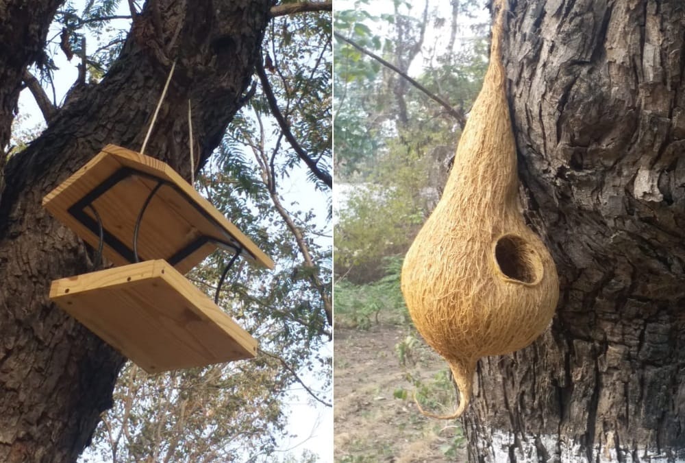 Uttarakhand Latest News : India first Pollinator Park in Haldwani Open For Public See beautiful; Photos