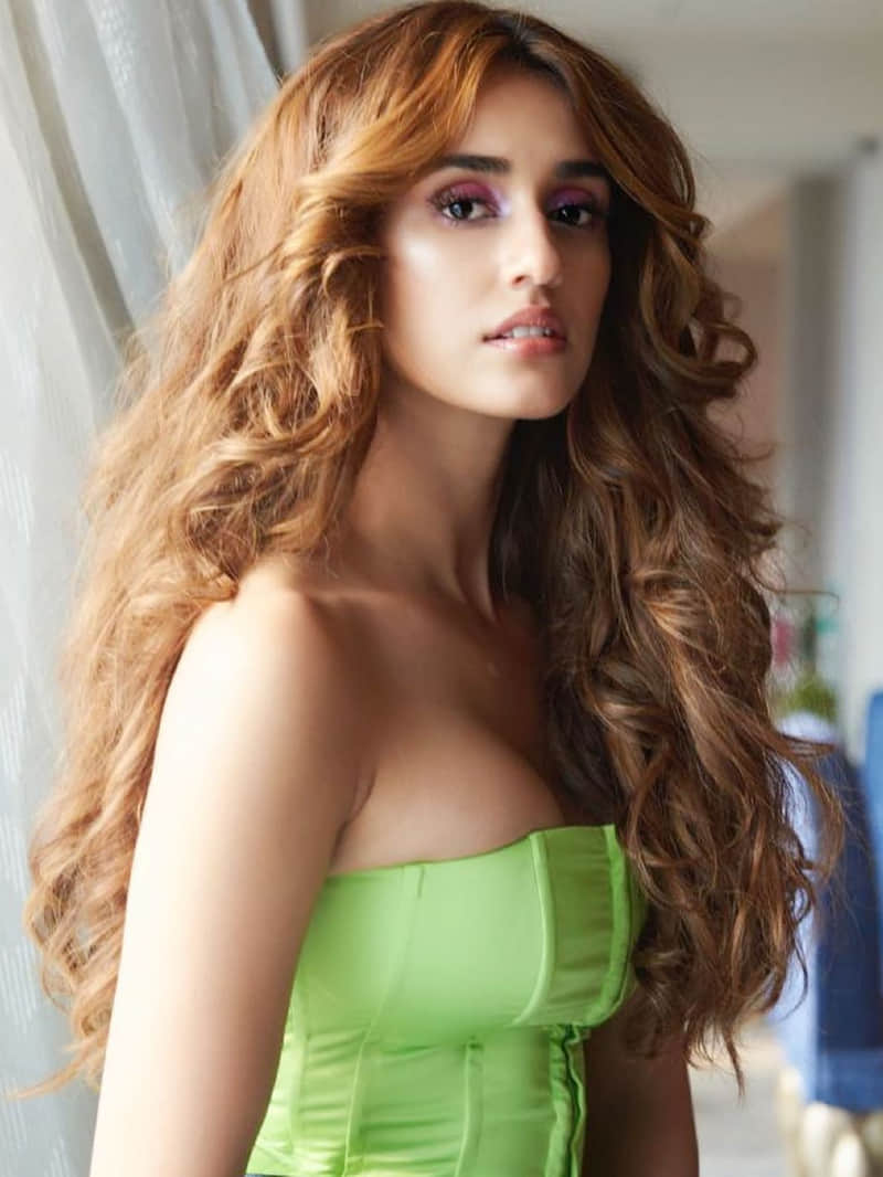 disha patani look hot in black bodycon cutout tube dress from bigg boss 14 weekend ka war