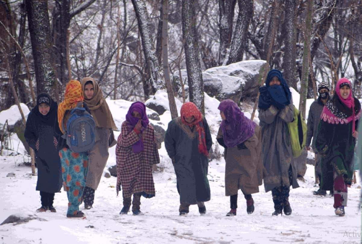 fresh snowfall in kashmir Snow covered like white sheet