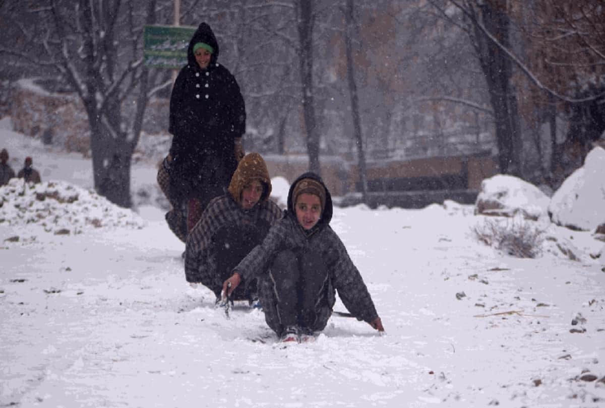 fresh snowfall in kashmir Snow covered like white sheet