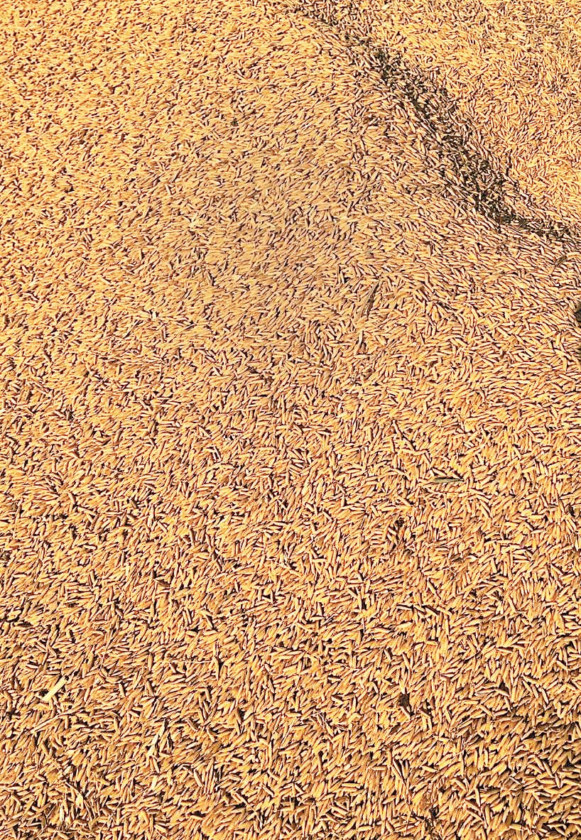 commisnor in Khiri