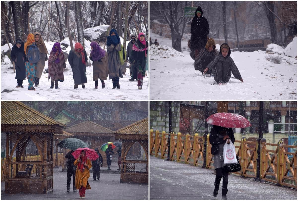 fresh snowfall in kashmir Snow covered like white sheet