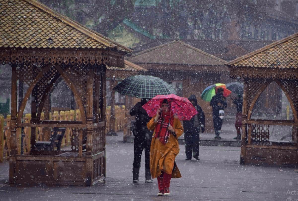 fresh snowfall in kashmir Snow covered like white sheet