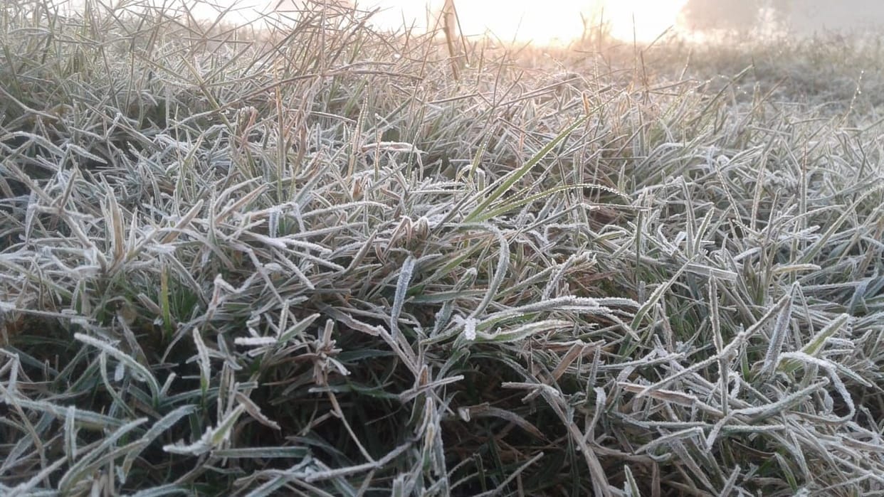 In Early Morning Hisar Temp. is zero
