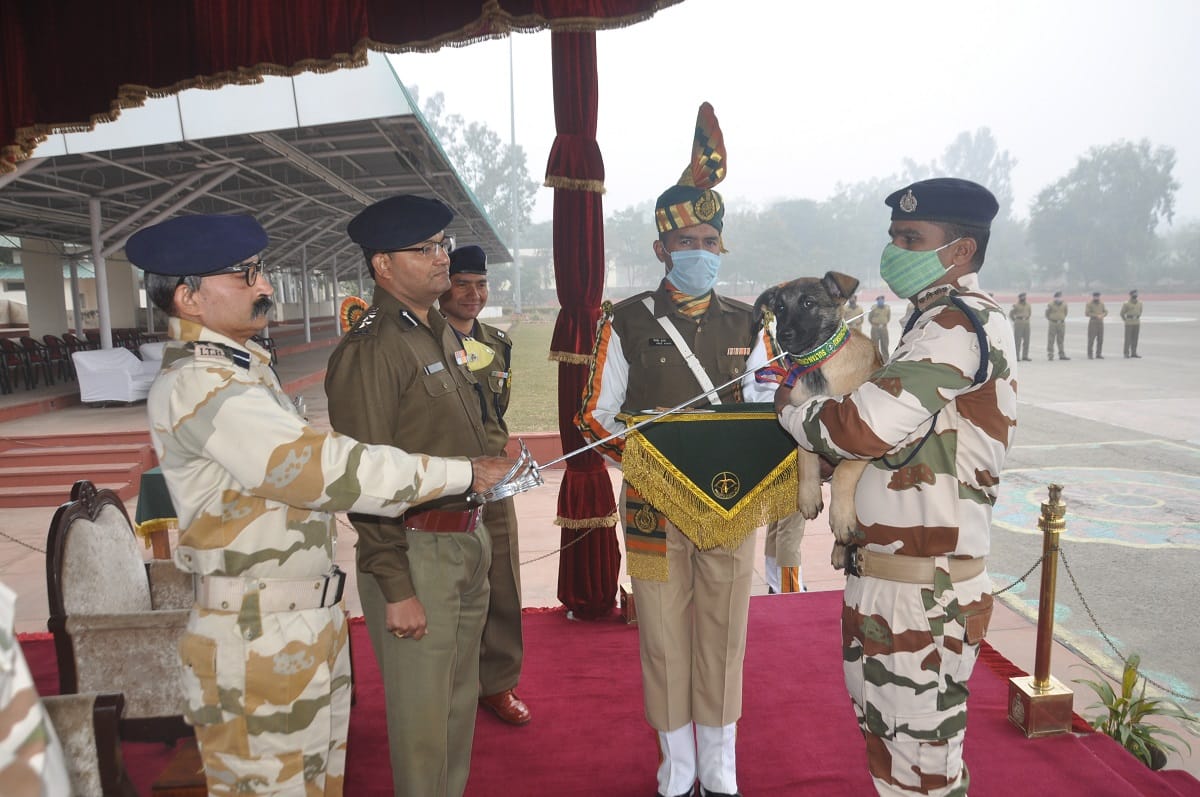 ITBP K9 Dog Squad gave domestic names to belgian malinois puppies