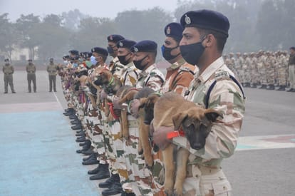 ITBP K9 Dog Squad gave domestic names to belgian malinois puppies