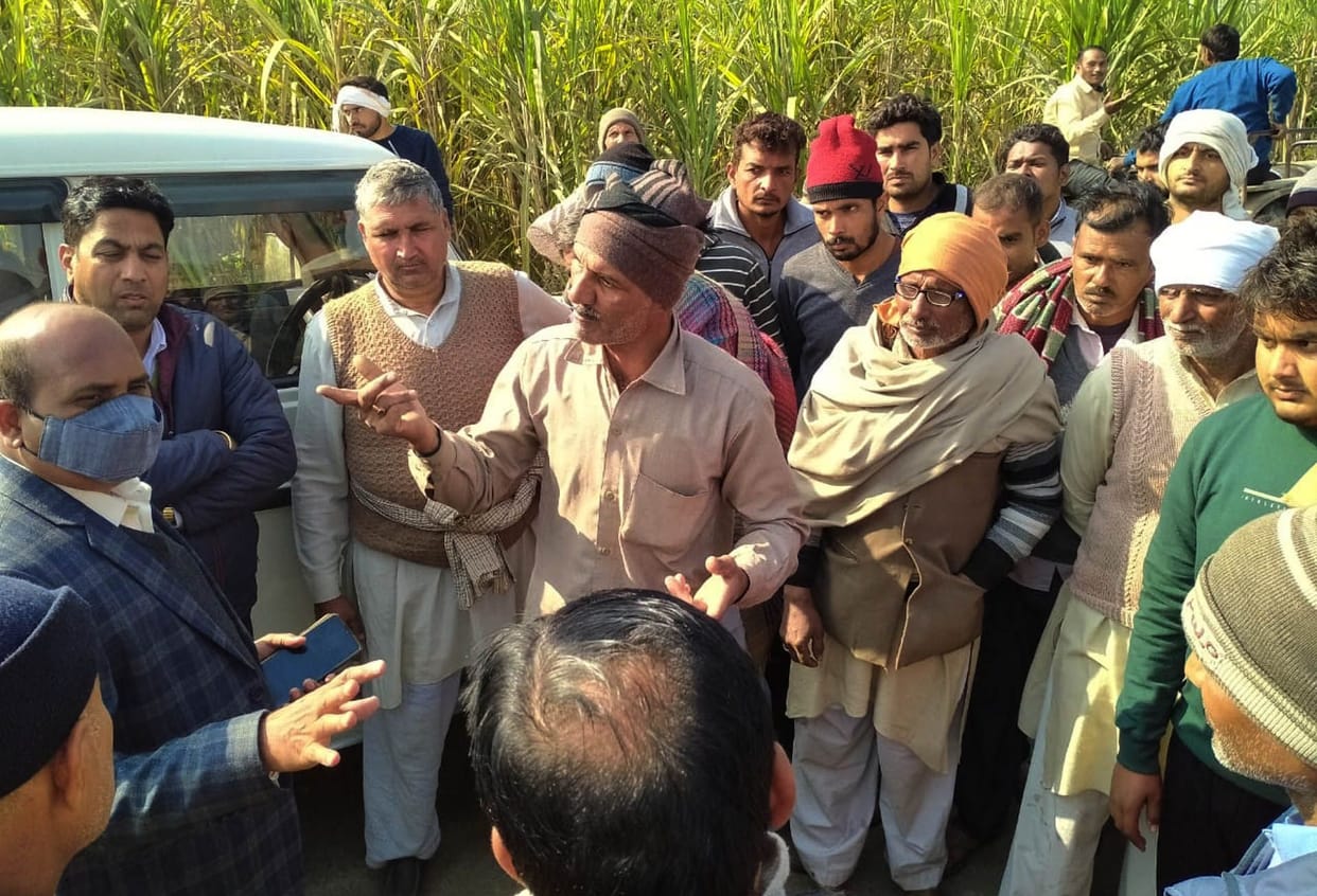DCO started weighing at purchasing centers