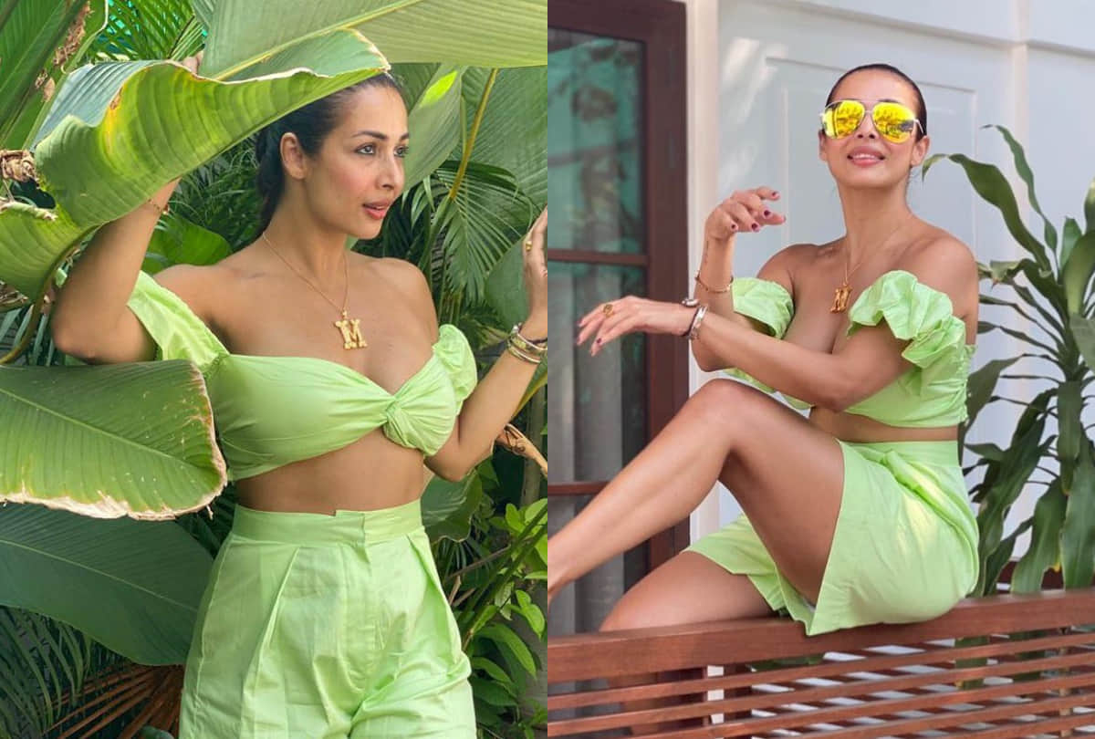 Malaika Arora Gets Trolled For Her New Picture Fans Says Green Cabbage
