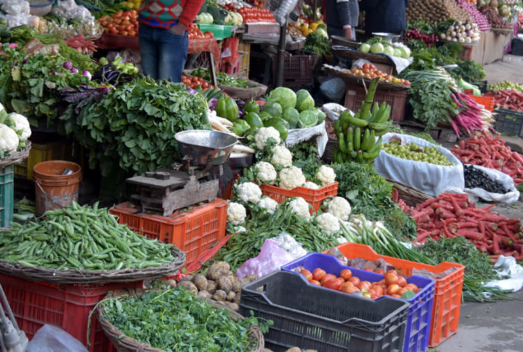Local crop reached market, vegetable prices fell