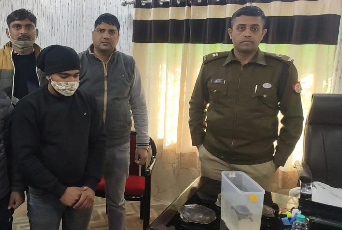 Forest department and police arrested two people who smuggled turtles