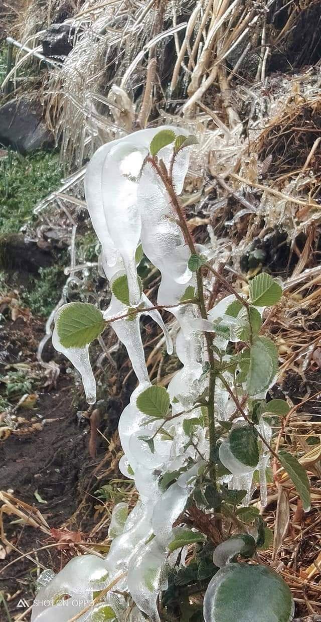 Cold in the border district increased people's problems