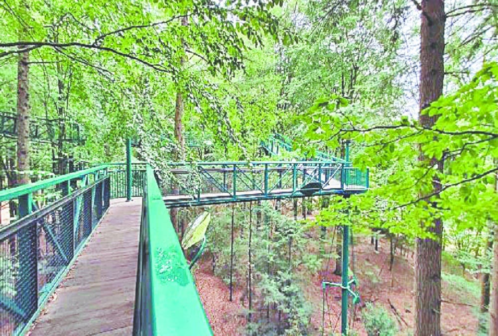 Exclusive: Uttarakhand first nature canopy walk to be made in Baniyakund forest of Rudraprayag