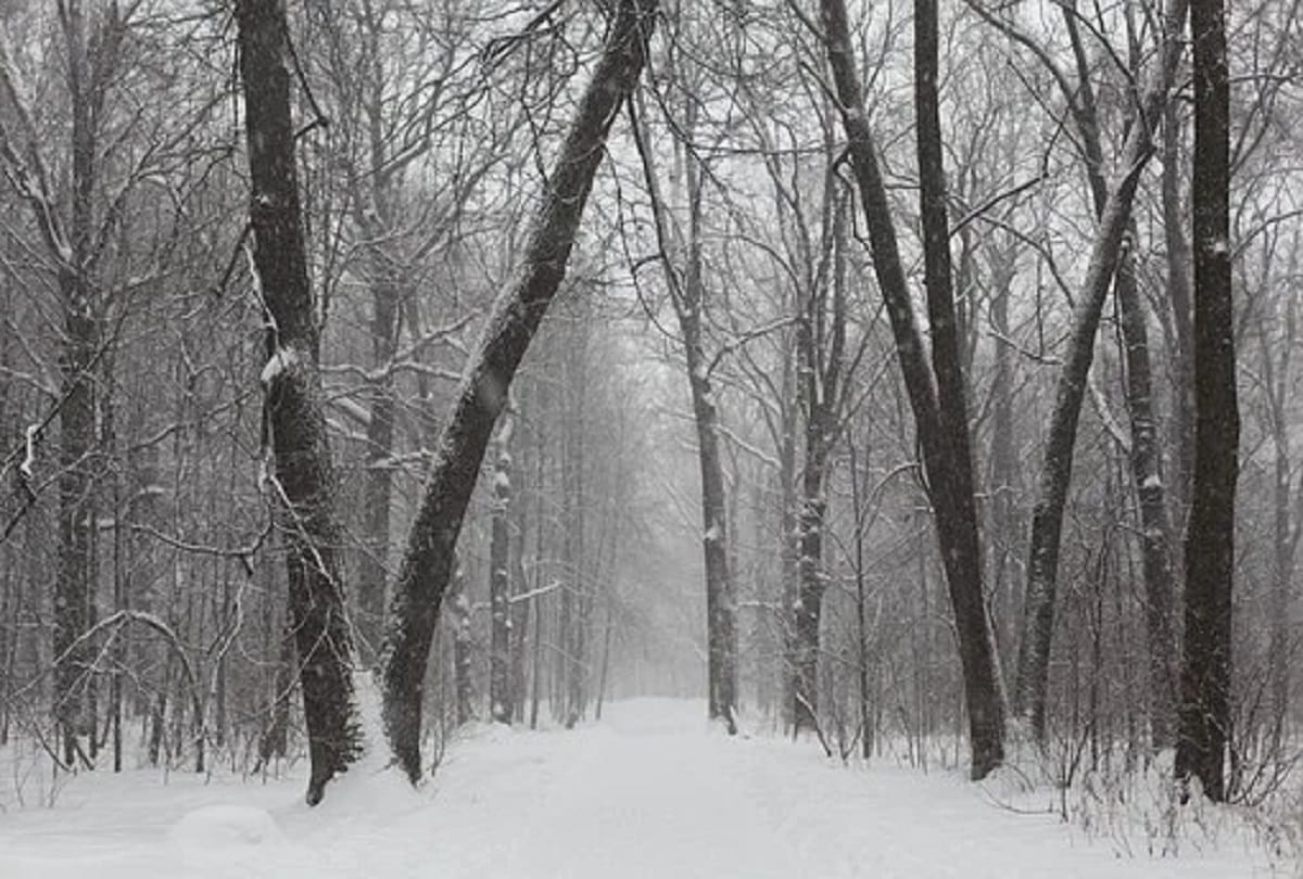 Drinking alcohol in winter can be more deadly Meteorological Department warns